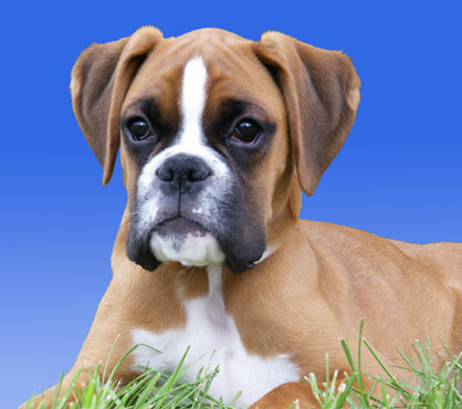 "Olivia Emma von Teutonia"