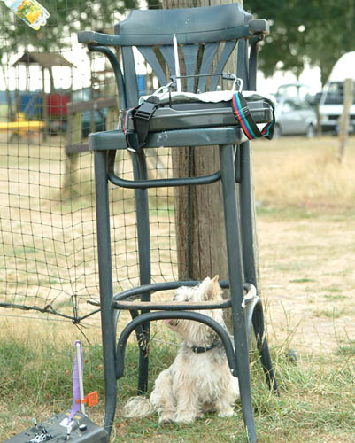 Hier bin ich wohl sicher