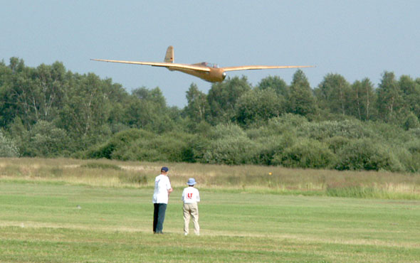 Kranich Landung