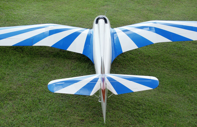 Habicht in Flugrichtung