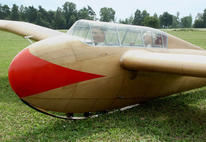 Kranich im Halbprofil