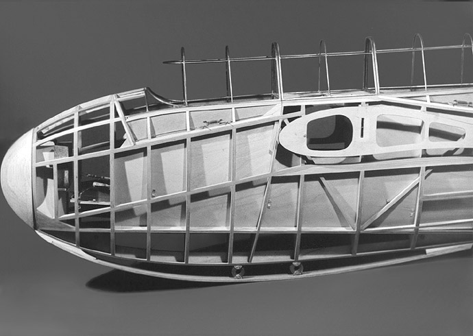 Rumpf / vordere Sektion