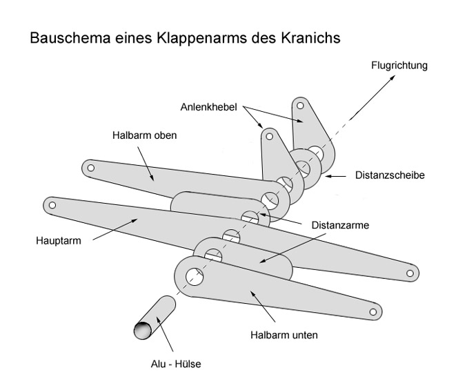 Schema Klappenarm